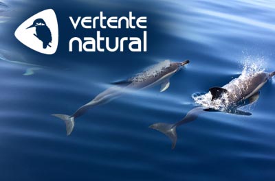 Vertente Natural