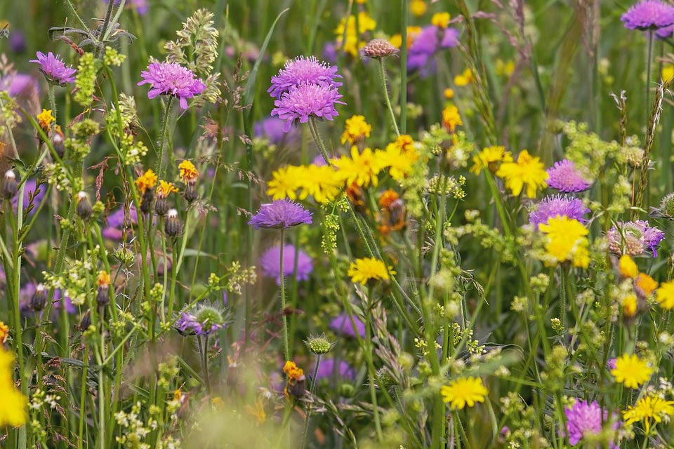 Sustentabilidade na Quinta